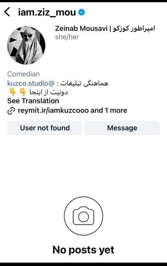 صفحه زینب موسوی مسدود شد