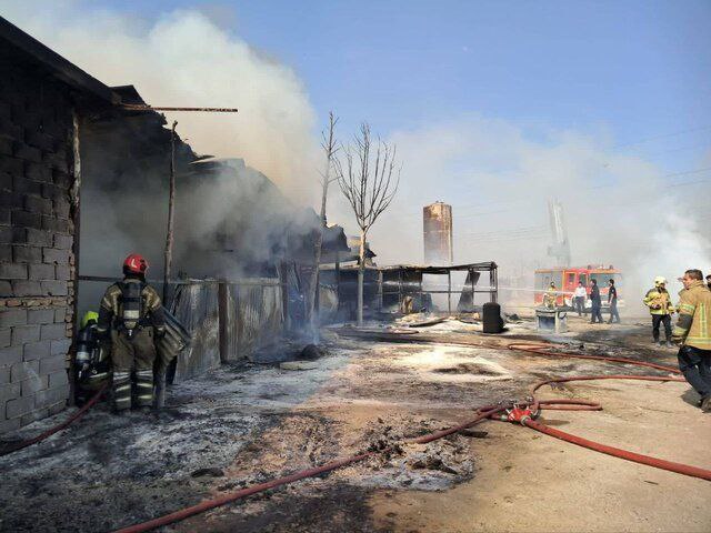 آتش‌سوزی یک گاراژ چوب‌بری در بزرگراه آزادگان تهران مهار شد