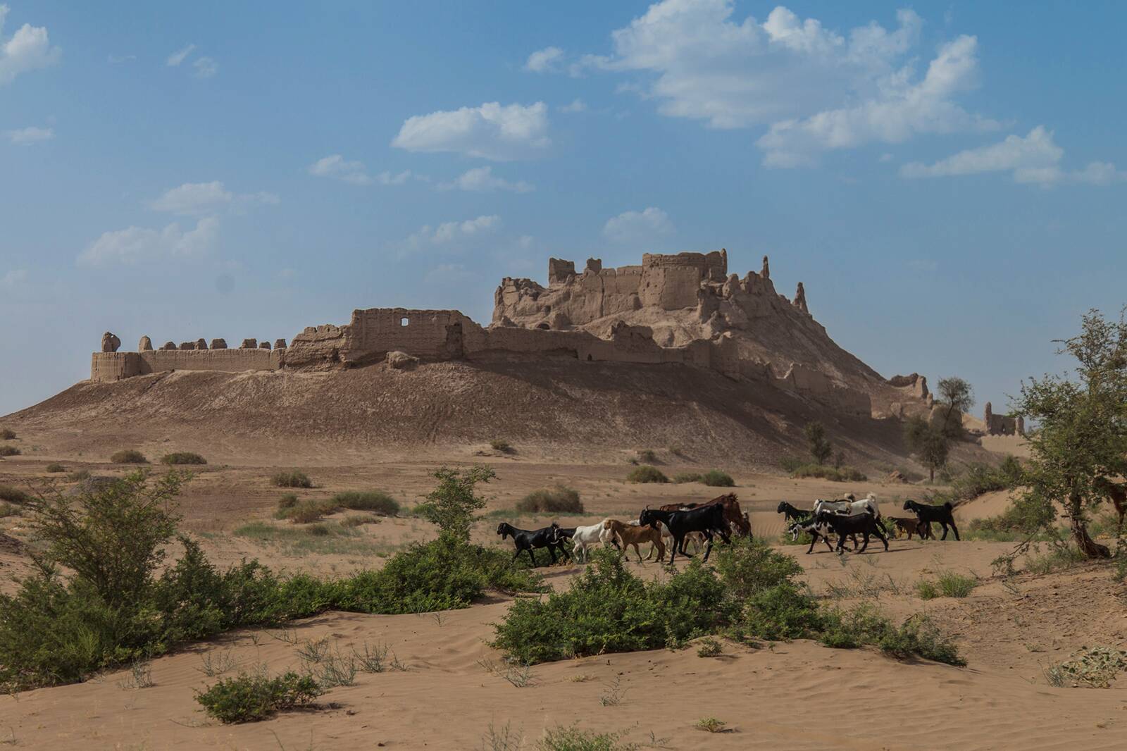 قلعه بمپور نگین درخشان بلوچستان | پایگاه خبری جماران