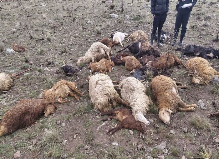 شهرستان انگوت2