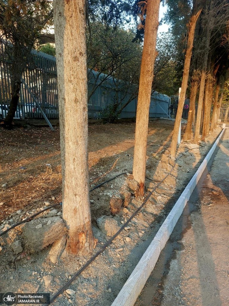 موزه فرش ایران (6)