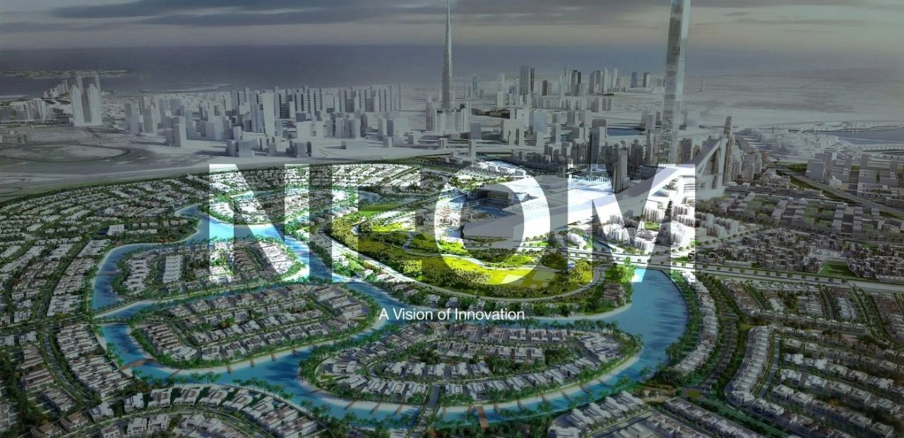 photo_2_2025-11-12_10-39-11