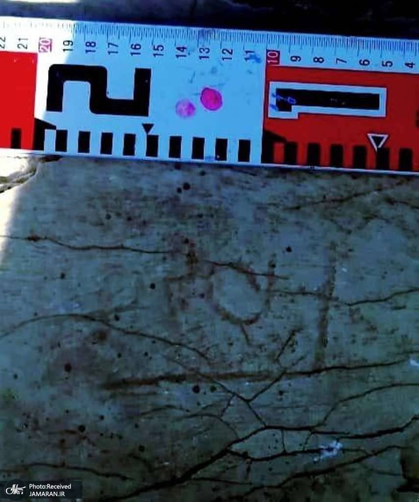 کشف سنگ‌نوشته واژه «یک پلنگ» از دوره ساسانی مرودشت فارس 2