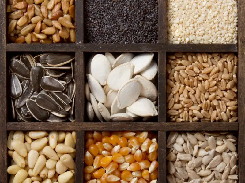 آجیل شب یلدا رو میشه قسطی خرید؟ (2)