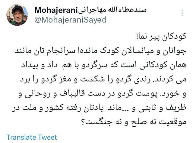 واکنش مهاجرانی به دعواهای سیاسیون