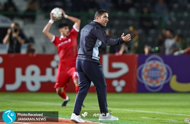 وحید هاشمیان