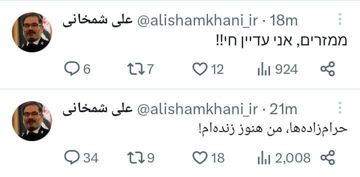 اولین واکنش علی‌ شمخانی به حواشی ویدیو جنجالی عروسی دخترش