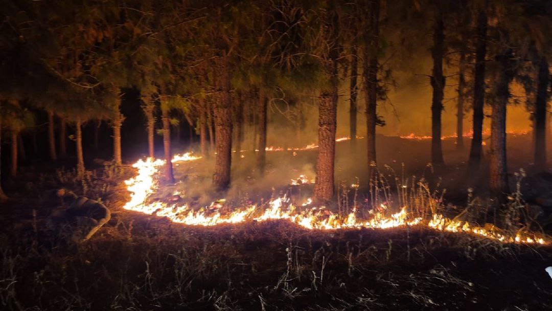 آتش سوزی در اسرائیل (2)