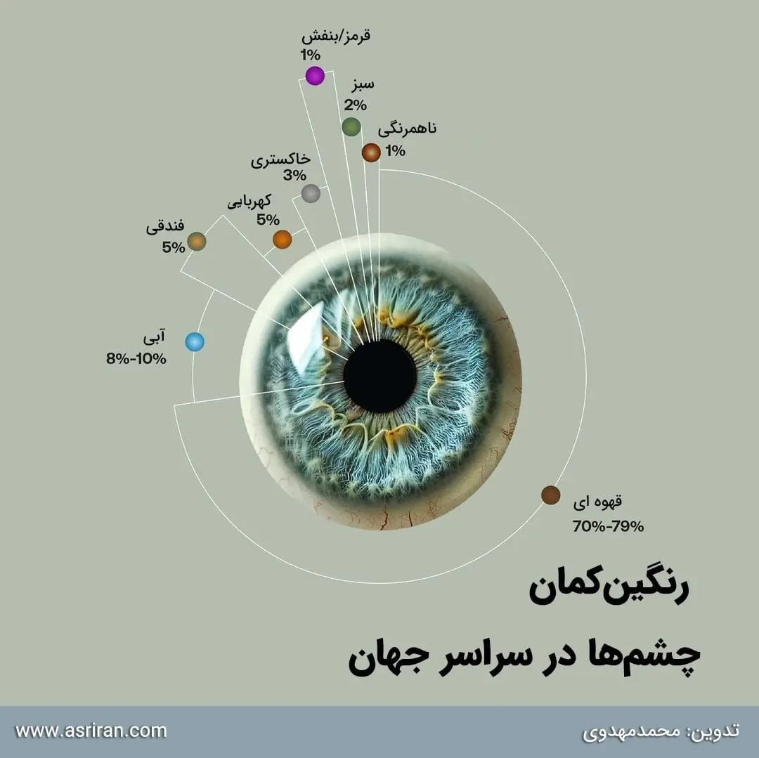 چشم رنگی های در جهان چه رنگهایی دارند 2