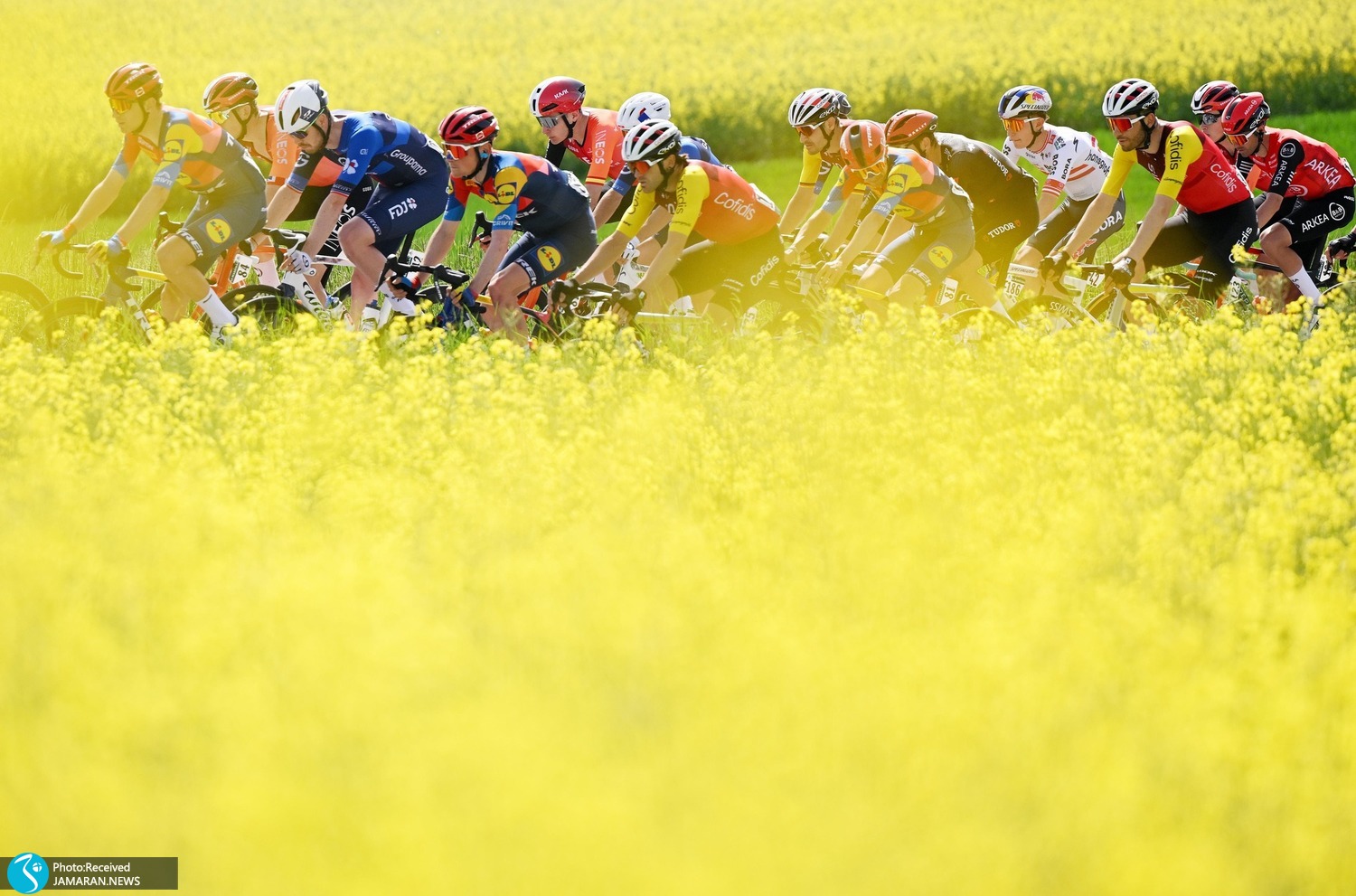 لحظات عجیب جهان ورزش