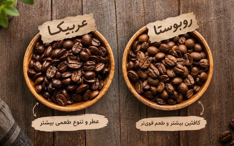 حرفه‌ای‌ها هنگام خرید قهوه به چه نکاتی توجه می‌کنند؟ (1)