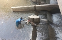 بازسازی و مرمت کانال‌های اصلی و مسیل‌ها منطقه 7 تهران (10)