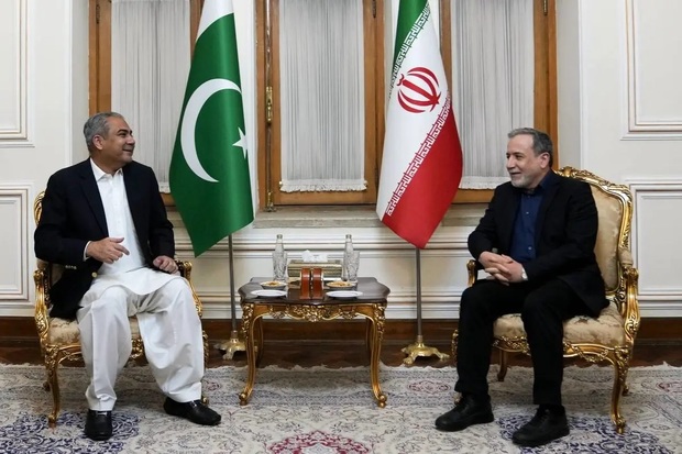 رایزنی وزیر کشور پاکستان با عراقچی در تهران
