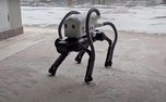 سگ رباتیک که ته سیگارها را از ساحل جمع می کند