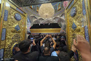هم قدم با زائران اباعبدالله الحسین (ع)؛ حرم امیر المومنین (ع)