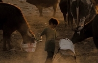 حمله خشکسالی شدید به عراق (8)