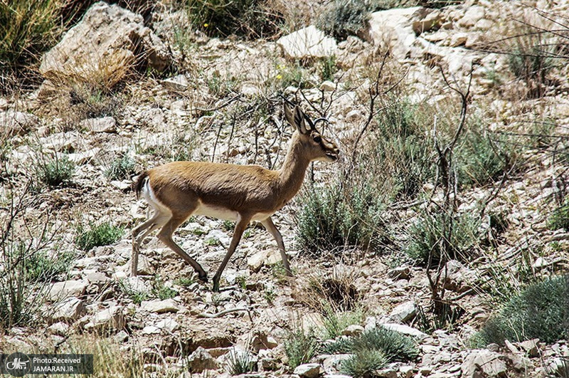منتخب تصاویر امروز جهان - 7 اردیبهشت 1401
