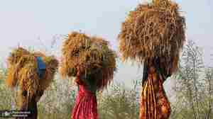 منتخب تصاویر امروز جهان - 10 آبان 1401