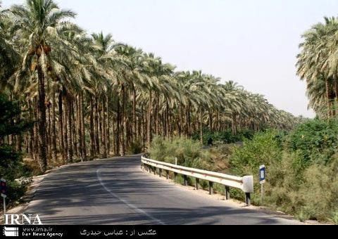 دشتستانی ها برای خدمت رسانی به گردشگران نورزی آماده شوند