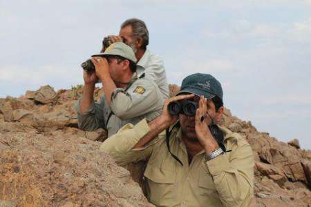4 متخلف شکار در منطقه حفاظت شده کرکس نطنز دستگیر شدند