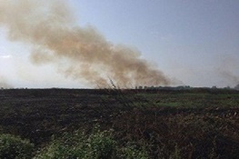 مراتع طالقان و جاده چالوس در معرض بیشترین تهدید آتش‌سوزی