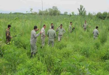 یگان محیط زیست از تصرف 4هکتار اراضی تالاب انزلی جلوگیری کرد