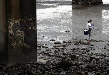 «کرونا» موش‌ها را به خیابان‌ها کشاند