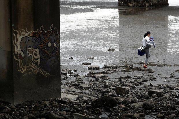 «کرونا» موش‌ها را به خیابان‌ها کشاند