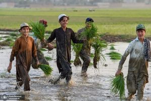 منتخب تصاویر امروز جهان- 21 خرداد 1400