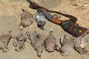 13شکارچی غیرمجاز در مازندران خلع سلاح شدند