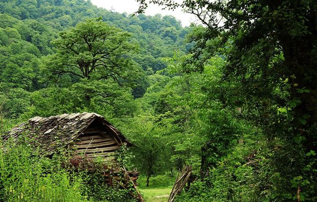 بابل نوازش دهنده چشم گردشگران در ایام نوروز