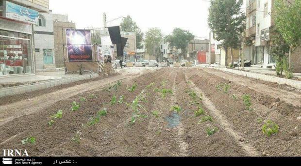 توضیحات شهردار اقبالیه در خصوص انتشار تصویری از این شهر در فضای مجازی