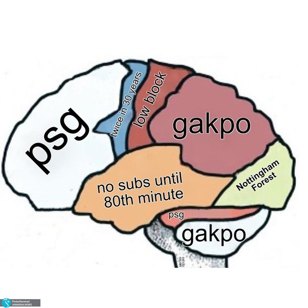 تصویری از مغز سرمربی لیورپول منتشر شد!