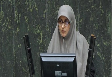 عضو کمیسیون فرهنگی مجلس: سیاست‌گذاری مشخصی در بخش هنر و در خصوص مواجهه با آثار فرهنگی وجود ندارد