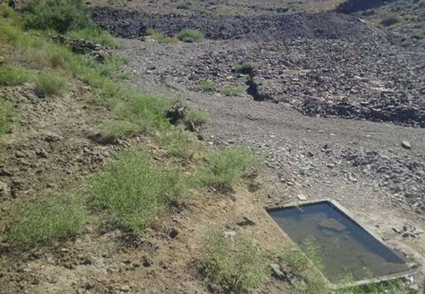 محیط زیست سه چشمه آبشخور در منطقه شکار ممنوع قراویز ساخت