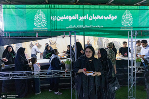 هم قدم با زائران اباعبدالله الحسین (ع)؛ مرز تمرچین