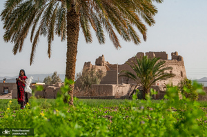 منتخب تصاویر امروز جهان- 10 بهمن