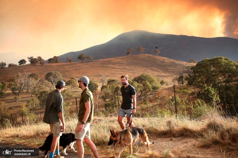 منتخب تصاویر امروز جهان- 9 بهمن