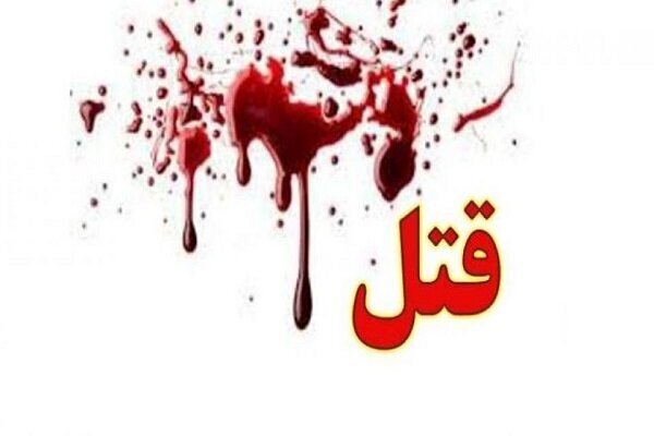 دستگری سارق قاتل در فارس