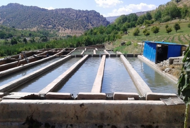 افتتاح بدون بهره برداری