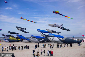 منتخب تصاویر امروز جهان - 31 فروردین 1404