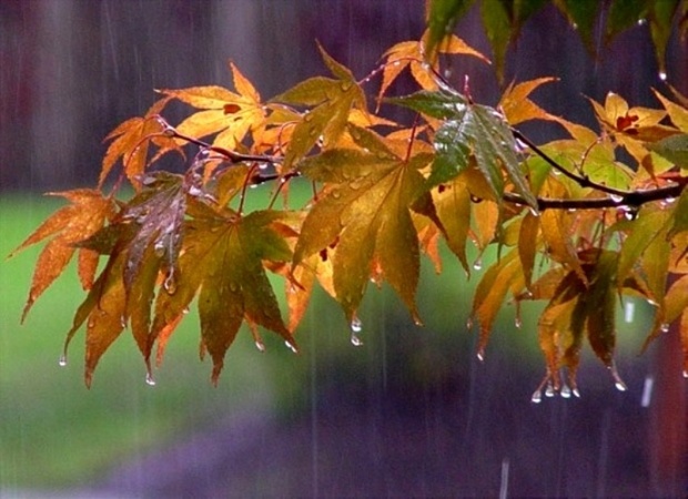 بارندگی پاییزه در آذربایجان شرقی 41.4 درصد افزایش یافت