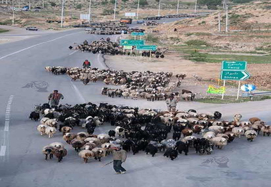 چشم اندازتوسعه اقتصادی در مناطق عشایری کهگیلویه و بویراحمد