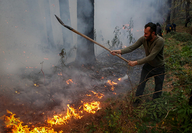  جبهه اصلاحات ایران در واکنش به آتش سوزى جنگل هاى هیرکانى در بیانیه اى اعلام کرد: این آتش محصول کوتاهی ماست و ما امانت‌داران خوبی نبوده‌ایم