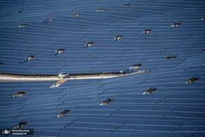 منتخب تصاویر امروز جهان- 19 دی