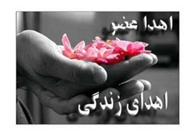 اهدای اعضای دختری که پیش از رسیدن به مقصد زائر امام رضا(ع) شد