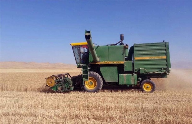 خرید گندم در ایرانشهر از مرز 16 هزار تن گذشت