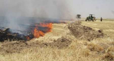 چهار هکتار از مزارع گندم و جو پلدختر دچار آتش سوزی شد