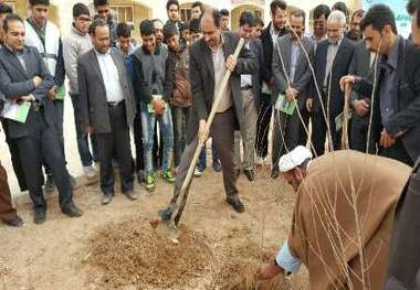 فرماندار خور و بیابانک: غرس نهال و حفاظت از درختان باید به فرهنگ تبدیل شود