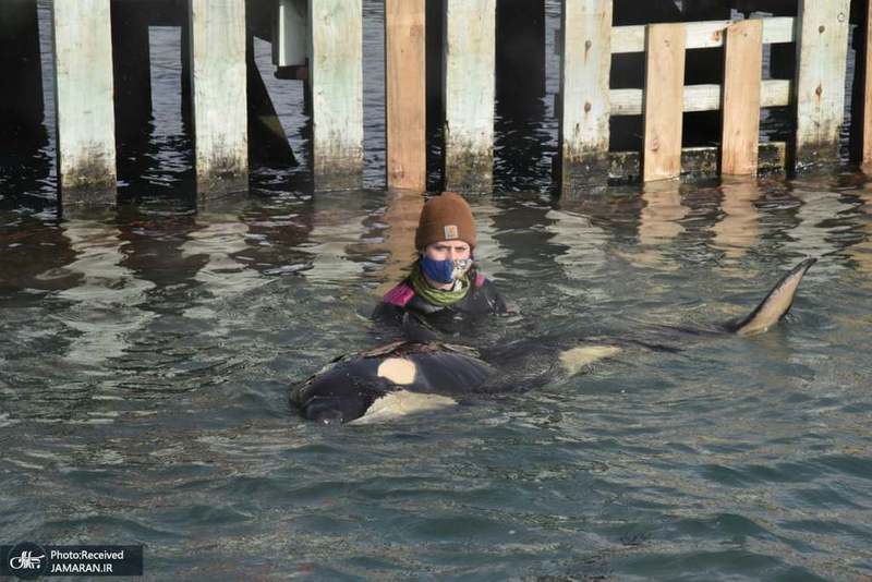 منتخب تصاویر امروز جهان- 23 تیر 1400